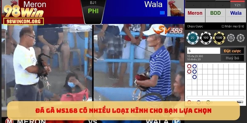 Đá gà WS168 có nhiều loại hình cho bạn lựa chọn