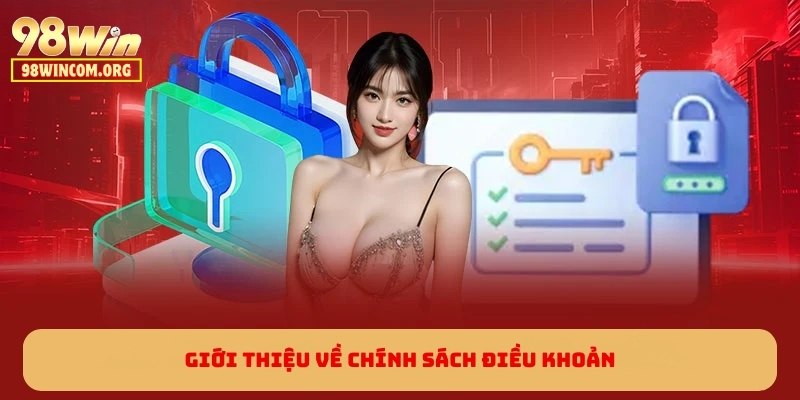 Giới thiệu về chính sách điều khoản